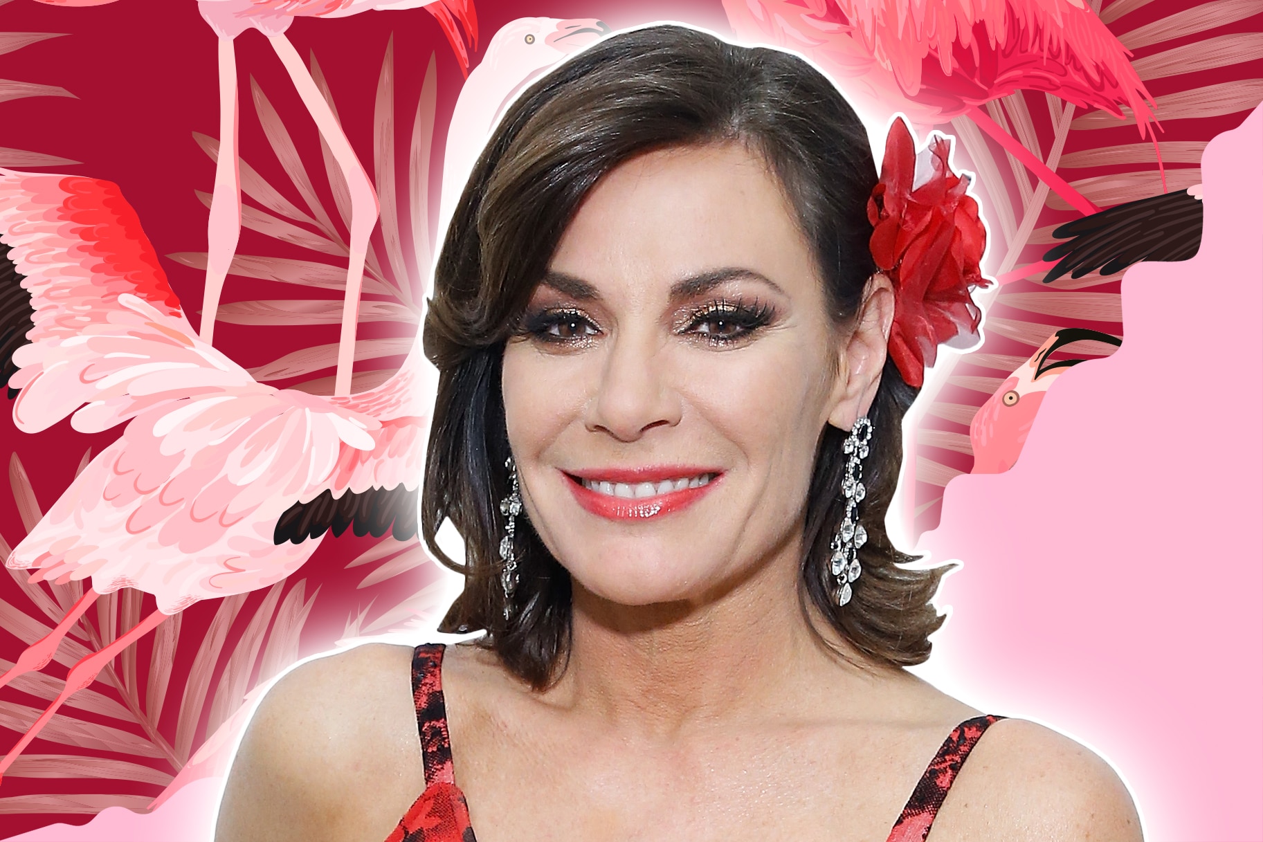 Luann De Lesseps Doppelganger