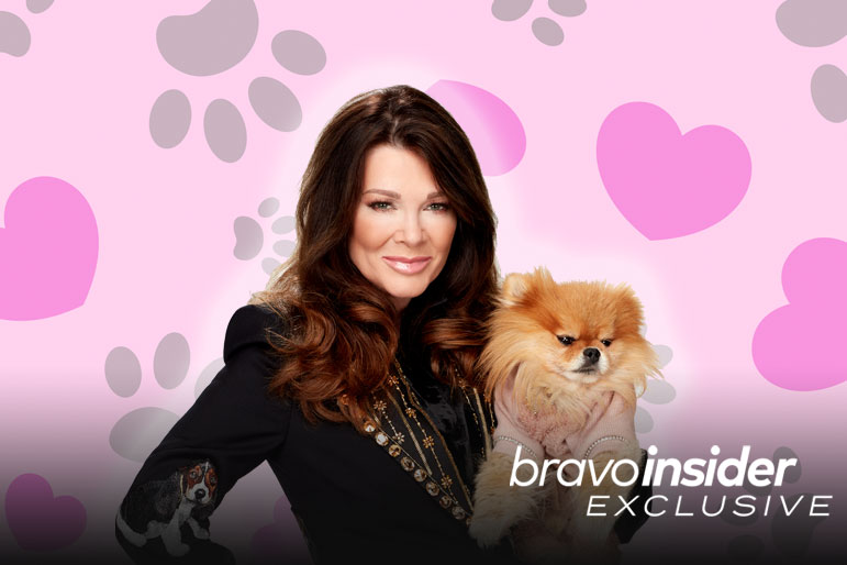 Spotlight Vanderpump Dogs Promote