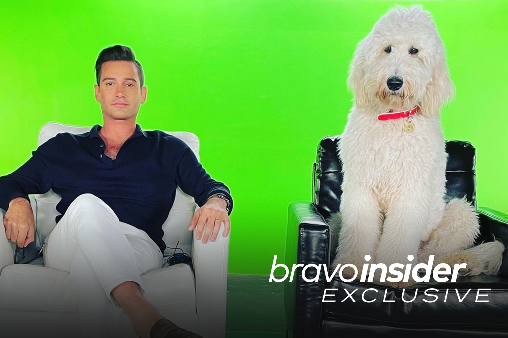 Josh Flagg Shares an Update on His Marriage and Dog MDLLA The Daily Dish