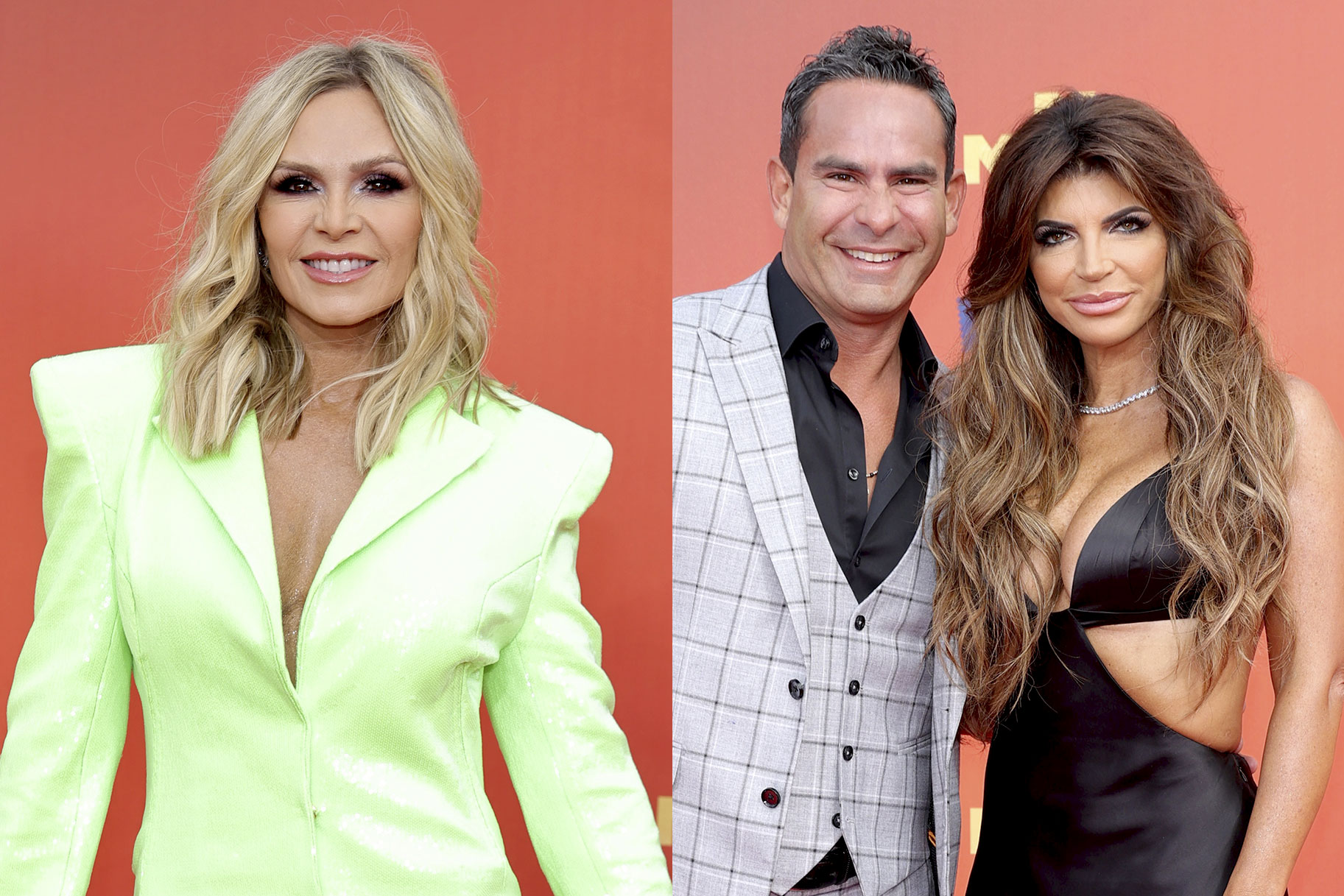 Daily Dish Tamra Judge Teresa Giudice Louie