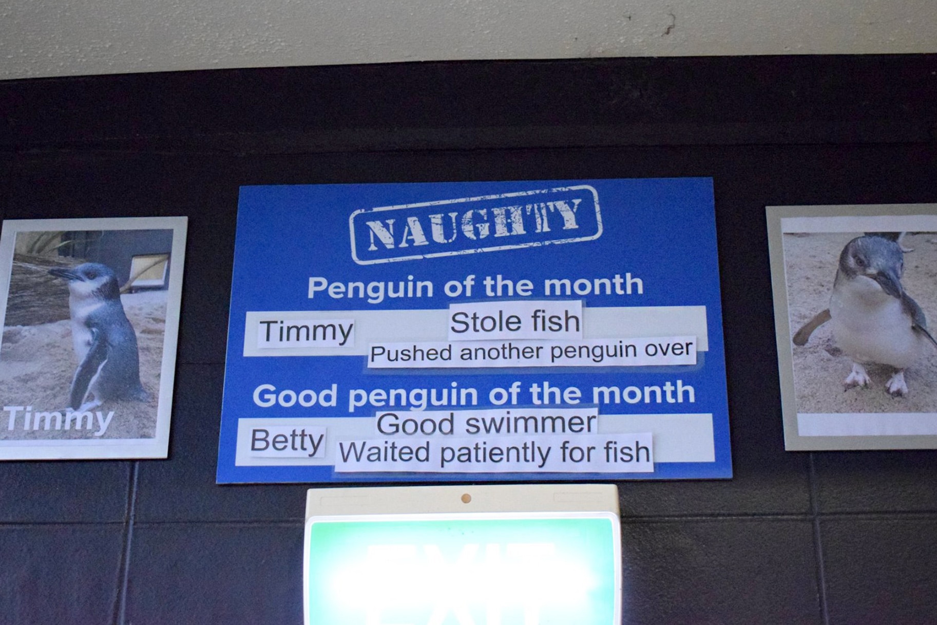 this is unacceptable penguin