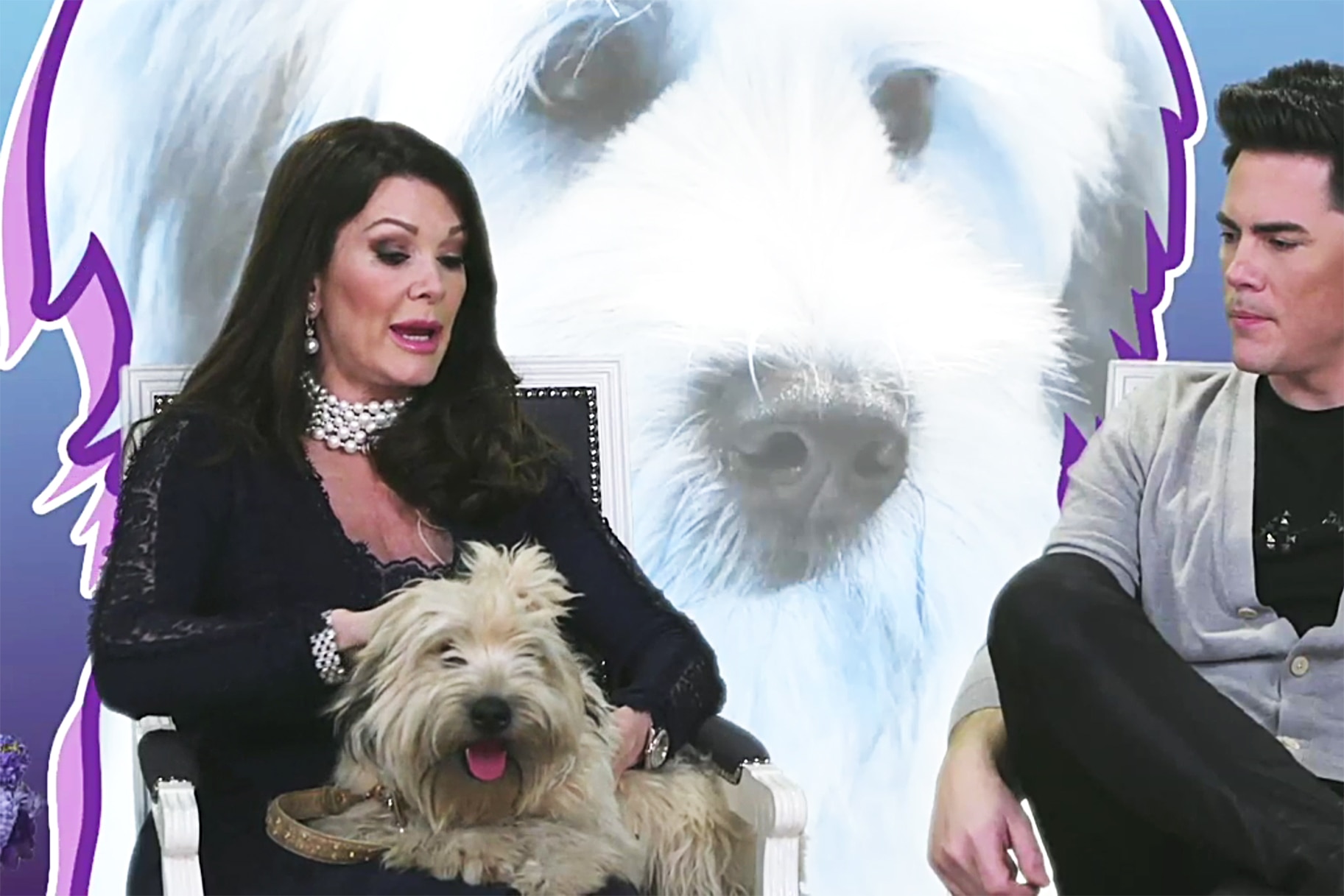 How Many Dogs Does Lisa Vanderpump Have? The Daily Dish