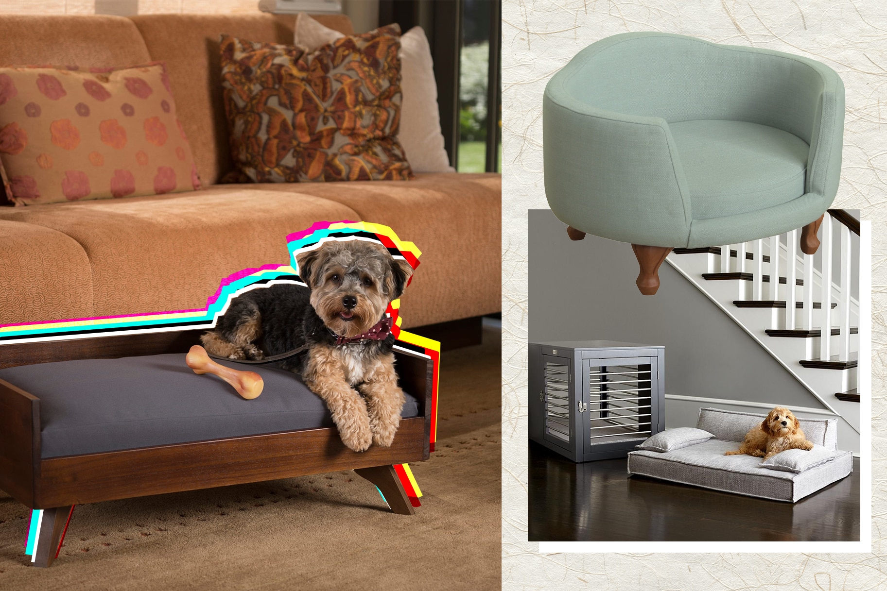 Dog Beds That'll Add to Your Home Decor 