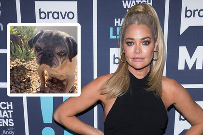 Denise Richards Pet Dog Rhobh