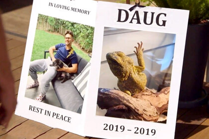 Tom Schwartz Pet Lizard Daug