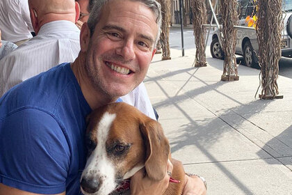 Andy Cohen Wacha Connecticut