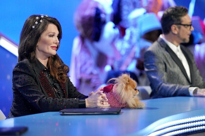 Lisa Vanderpump Dog Grooming Competition