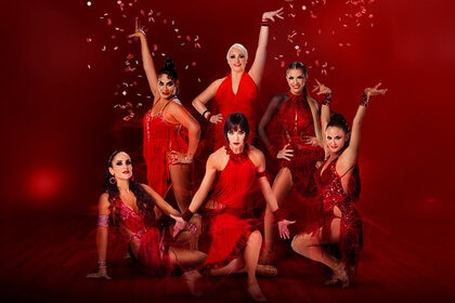 Dancing Queens Season 1 cast