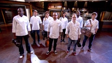 Introducing Top Chef Season 14's Rookie Chefs