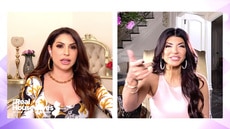 Teresa Giudice Explains Why She Finally Told the Ladies About Her New Boyfriend Louie Ruelas