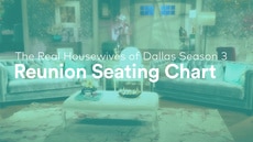 Get Your First Look at The Real Housewives of Dallas Season 3 Reunion