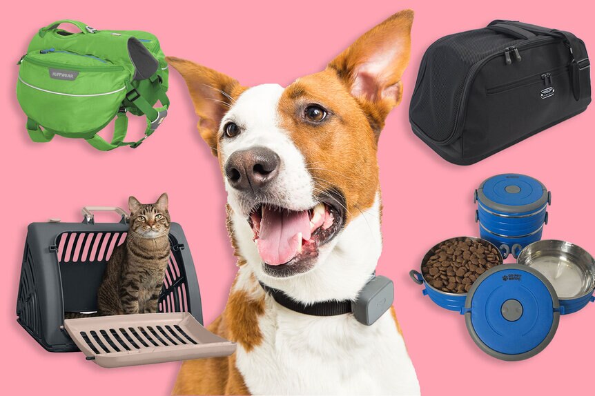 Best Travel Gear for Dogs Cats The Daily Dish