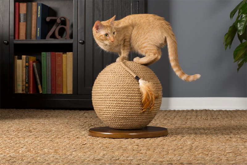 designer cat scratching post