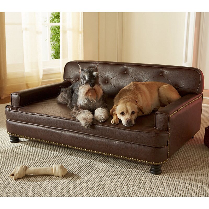 constantine quicksilver dog sofa