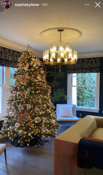 Kyle Richards' House Is Decorated for Christmas 2022 with 4 Gorgeous  Glowing Trees