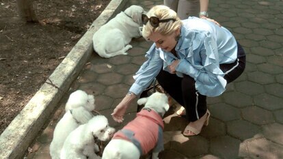 Doris Bessudo Takes Raquel Bessudo to Look at Adoptable Dogs!