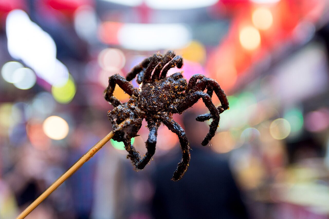 Scary Looking Foods Uni Rambutan Geoduck Balut Fried Spider The