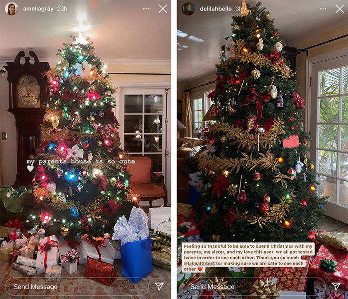 Lisa Rinna Family Christmas Tree 1