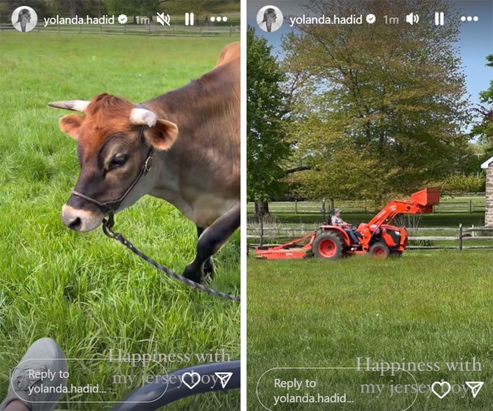 A split of Yolanda Hadid's farm.