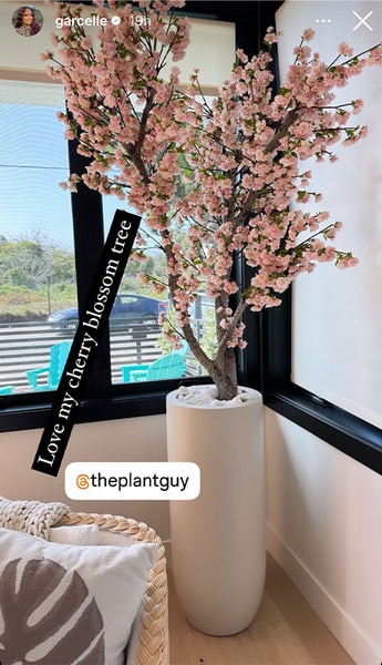 Garcelle Beauvais of The Real Housewives of Beverly Hills posts flowers on her Instagram story.