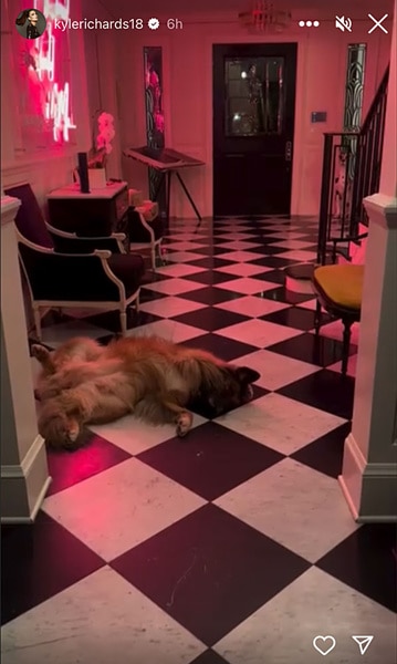 Kyle Richards' home entry and dog.
