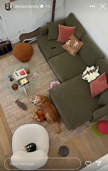 An aerial view of Alexia Umansky's living room.