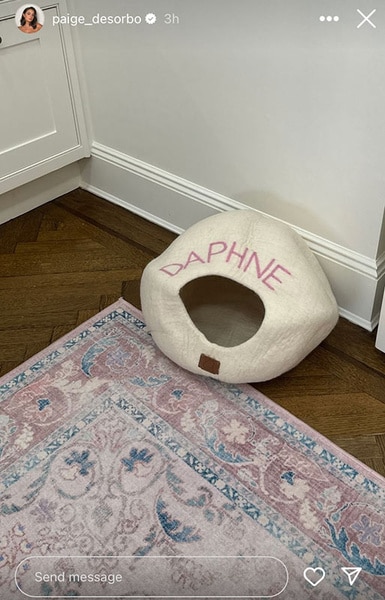 Paige DeSorbo's pet bed on the floor.