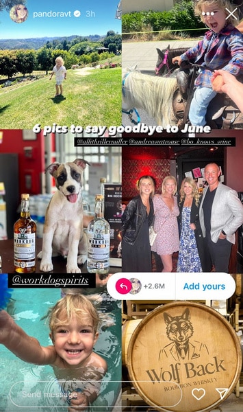 A compilation of Pandora Vanderpump's friends and family.