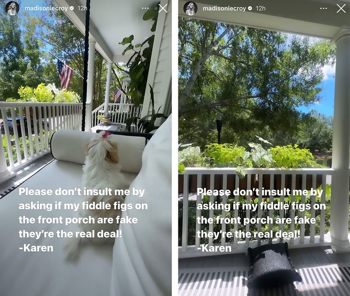 A split of Madison LeCroy's plants on her porch.