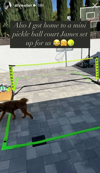 An image of James Kennedy and Ally Lewber's backyard pickleball court