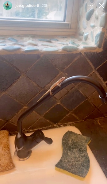 Joe Giudice's kitchen sink with a small lizard on the faucet.