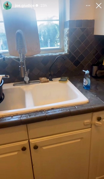 Joe Giudice's kitchen sink with a small lizard on the faucet.