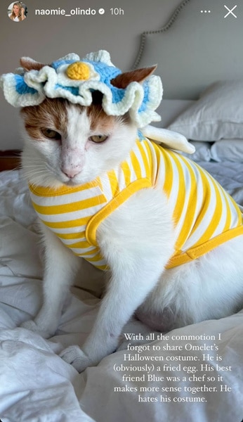 Naomie Olindo's Cat dressed in a yellow and white stripped onsie