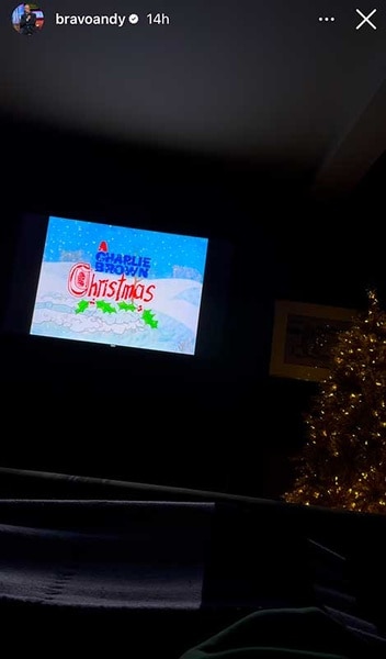 Andy Cohen's tv and christmas tree.