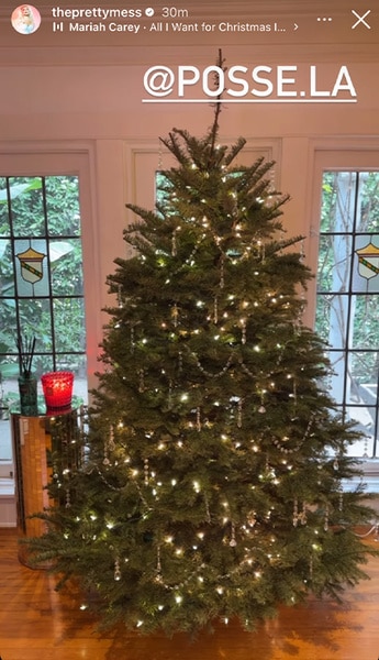 Erika Jayne posts her Christmas tree on her Instagram story.