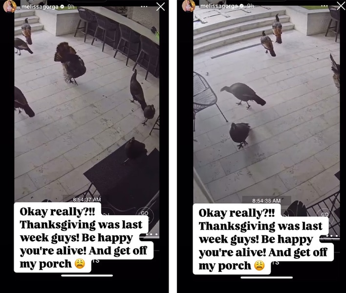 Melissa Gorga posts wild turkeys on her porch on her Instagram story.