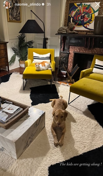 Naomi Olindo posts a photo of her yellow chairs in her living room onto her Instagram stories