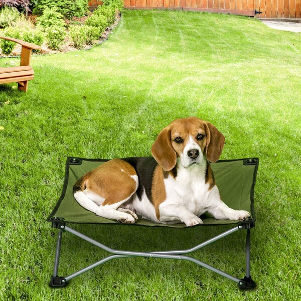 Pet hotsell travel cot