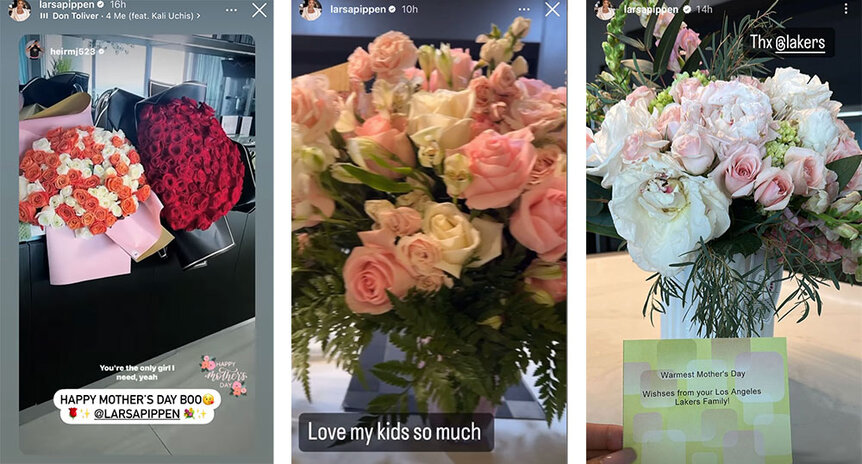 Scottie Pippen's ex-wife calls Michael Jordan's son her 'forever Valentine'  - Daily Star