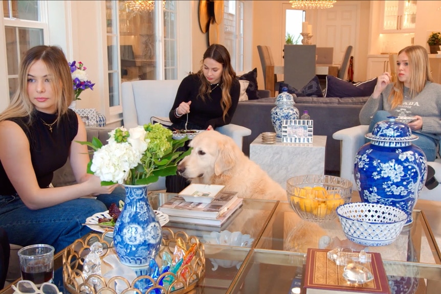 Shannon Beador's Daughters, Stella, Sophie and Adeline sitting in their living room