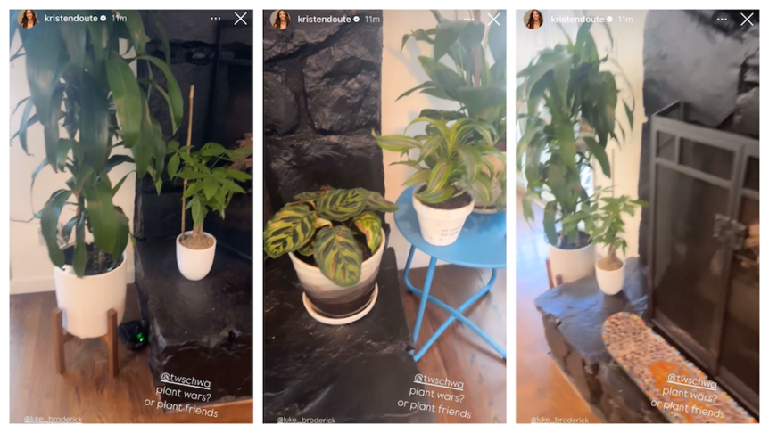 The Valley's Kristen Doute houseplants