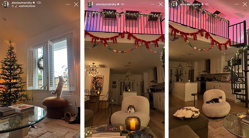 A split of Alexia Umansky and Jake Zingerman's holiday decor.